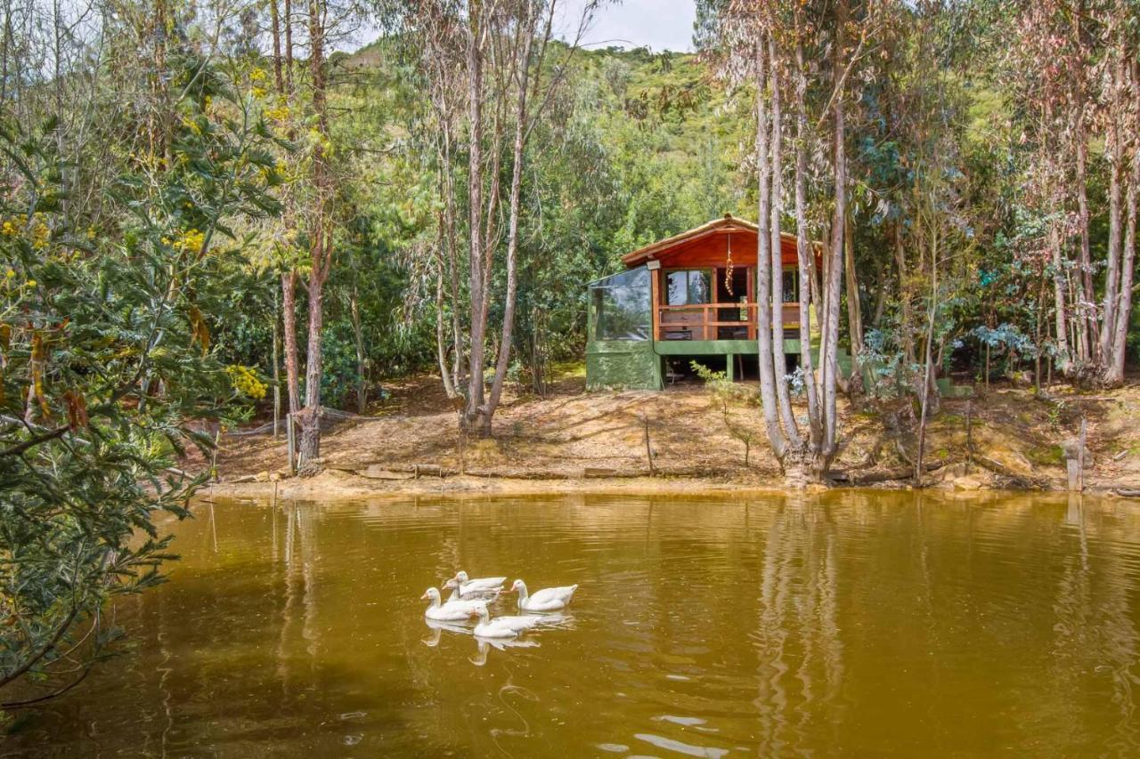 Cabana Tipo Glamping Savieza Life Experience Nemocon Exteriér fotografie